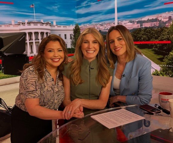 How Did Nicolle Wallace and Michael Schmidt Meet?