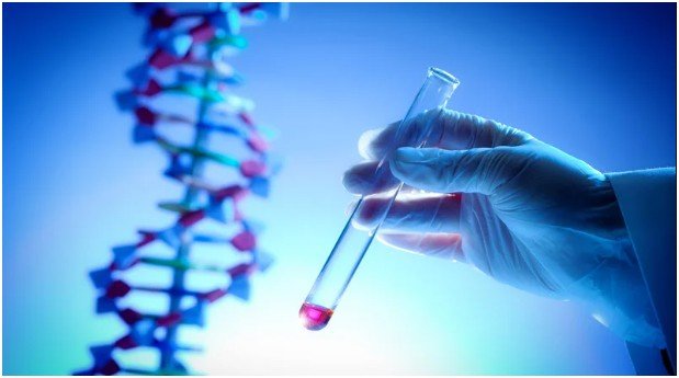 The Advantages of Opting for NIPT